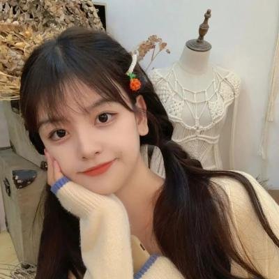 寅次郎的故事7:奋斗篇